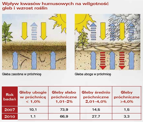 wpływ kwasów humusowych na wilgotność gleb i wzrost roślin