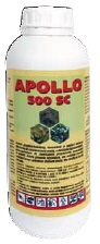 Apollo 500 SC