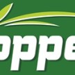 topper 10 st