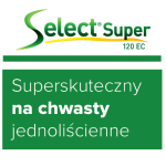 select super