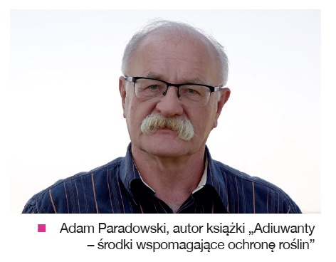 Adam Paradowski