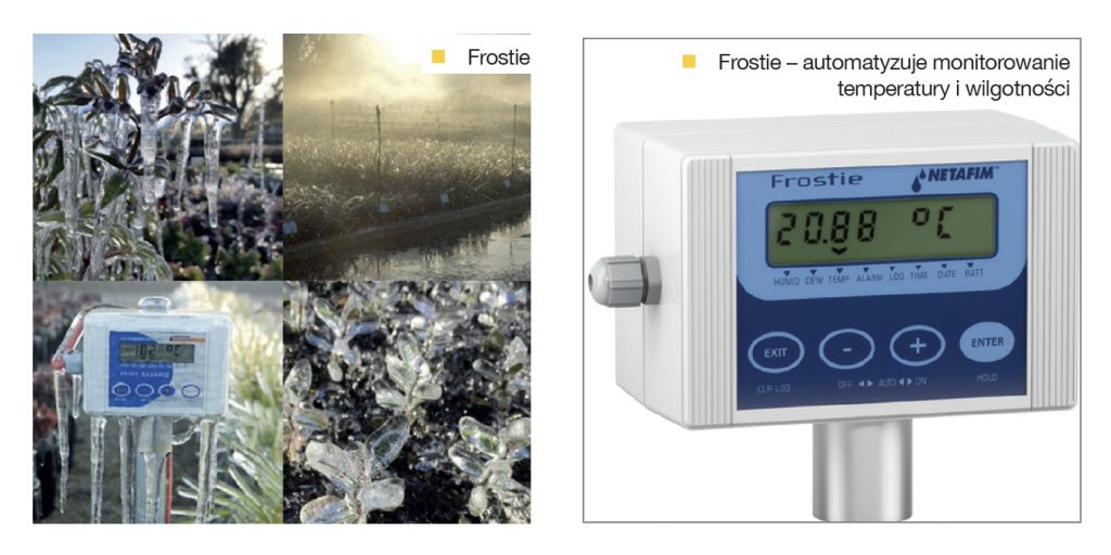 Frostie automatyzuje monitorowanie temperatury i wilgotności