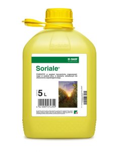 Soriale