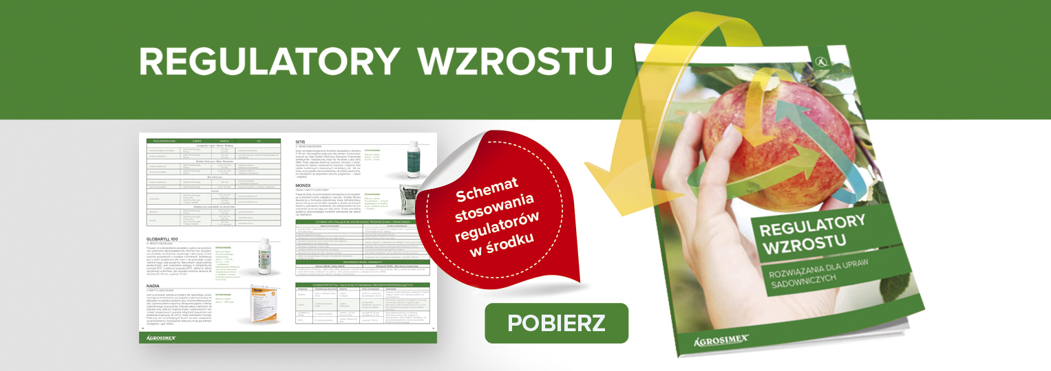 Regulatory wzrostu 2023