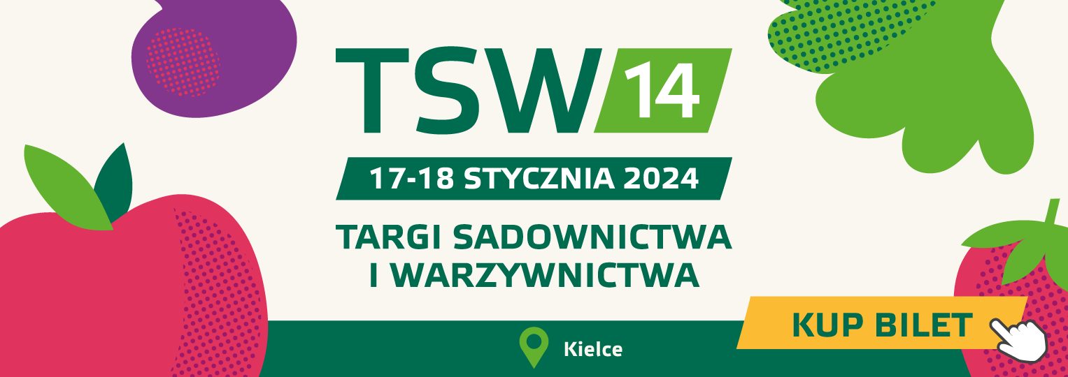 TSW 2024
