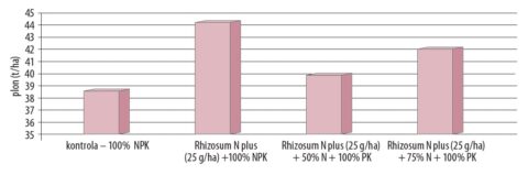 Wykres 1. Wpływ stosowania Rhizosum N plus przy różnych poziomach nawożenia azotem
