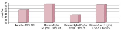 Wykres 2. Wpływ stosowania Rhizosum N plus przy różnych poziomach nawożenia azotem na plonowaniegruszy odmiany Lukasówka, Fertico, 2022 rok